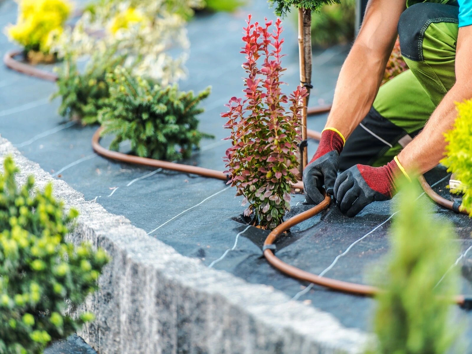 drip sprinkler system